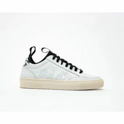 P448 Shop -P448 Shop unnamed file 1806